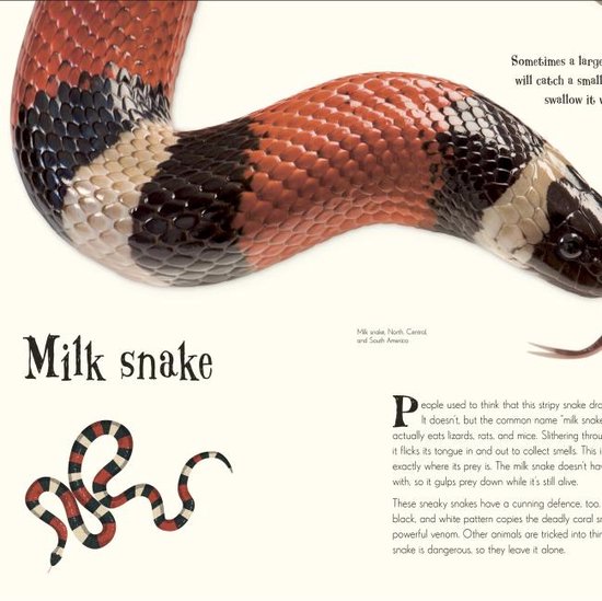 An Anthology of Intriguing Animals