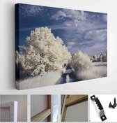 Surreal ir photo of landscape with trees under cloudy sky - the art of our world and plants in the invisible infrared camera spectrum - Modern Art Canvas - Horizontal - 1994922710