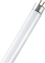 Osram HO 24 W/940 fluorescente lamp 22,5 W