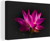 Canvas Schilderij Lotus - Roze - Bloem - 120x80 cm - Wanddecoratie