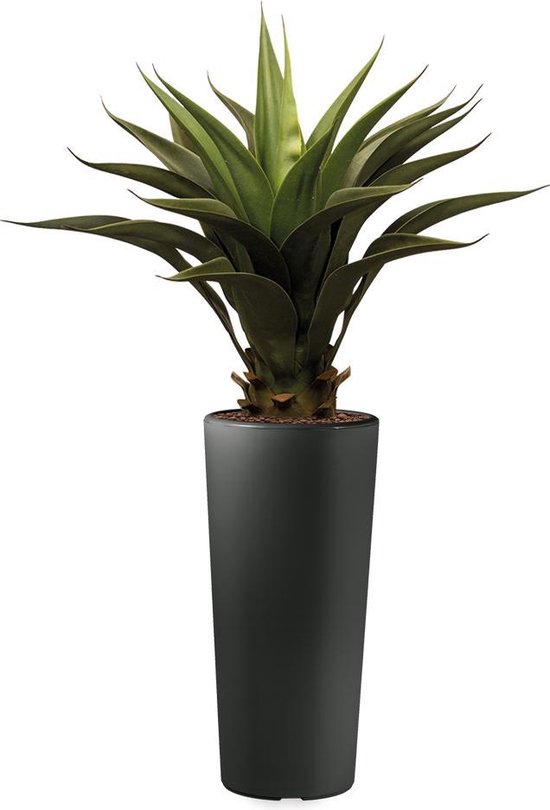 HTT - Kunstplant Agave vetplant in Clou rond antraciet H100 cm