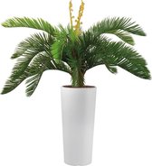 Kunstplant Cycas in Clou rond wit H105 cm - HTT Decorations
