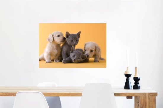 Une affiche représentant deux chiots de couleur claire et deux chatons gris est accrochée au-dessus d'une table à manger.