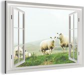 Wanddecoratie Metaal - Aluminium Schilderij Industrieel - Doorkijk - Gras - Schaap - 30x20 cm - Dibond - Foto op aluminium - Industriële muurdecoratie - Voor de woonkamer/slaapkamer