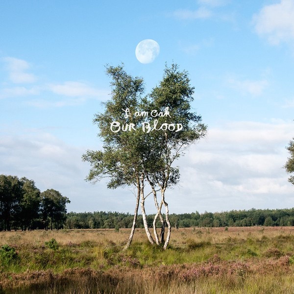 I Am Oak - In Our Blood (CD)