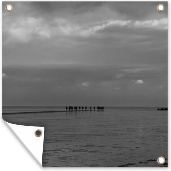 Posters de jardin Mer des Wadden - Zwart - Wit - Mer des Wadden - 50x50 cm
