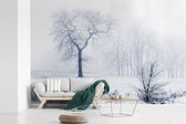 Photo d'arbres dans le brouillard pendant l'hiver fotobehang
