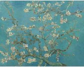Peinture au Diamond - Almond Blossom par Vincent van Gogh - Fabriqué aux Nederland - 30 x 40 cm - toile - pierres carrées + stylo de luxe gratuit d'une valeur de 12,99