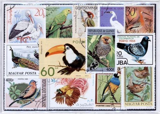 Thumbnail van een extra afbeelding van het spel Vogels – Luxe postzegel pakket (A6 formaat) : collectie van 25 verschillende postzegels van vogels – kan als ansichtkaart in een A6 envelop - authentiek cadeau - kado - geschenk - kaart - vogel - vliegen - vleugels  - geluk - Aves - Chordata