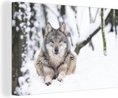 Canvas Schilderij Wolf - Sneeuw - Boom - 90x60 cm - Wanddecoratie