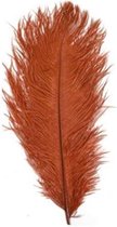 struisveer 34-38 cm rood