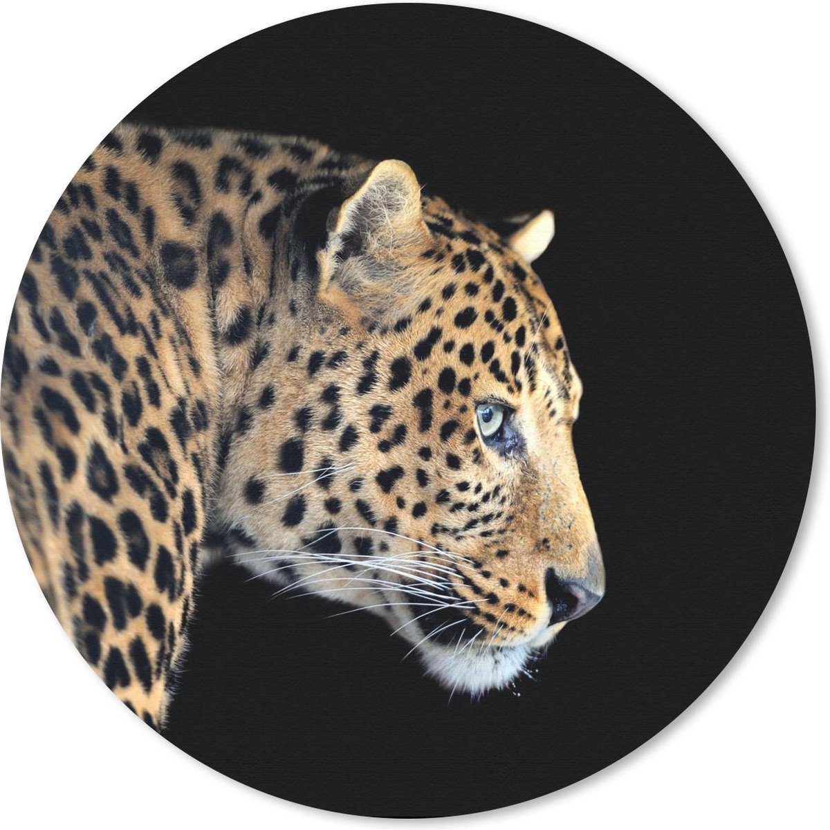 Muismat rond 30x30 cm - Mousepad Luipaard - Dieren - Zwart - Ronde muismatten