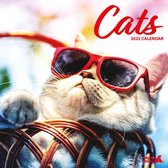 Katten - Kalender 2022