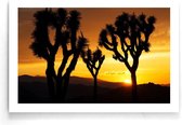 Walljar - Palm Trees At Sunset - Muurdecoratie - Poster