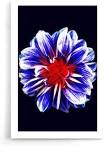 Walljar - Blue Flower With Red Center - Muurdecoratie - Poster