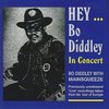 Bo Diddley - Hey..Bo Diddley (CD)