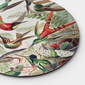Muurcirkel Hummingbirds Round - Papier - Meerdere Afmetingen & Prijzen