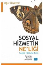 Sosyal Hizmetin Ne'liği Sosyal Hizmete Giriş