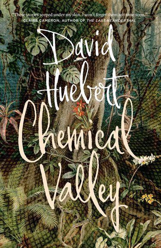 Chemical Valley (ebook), David Huebert 9781771964487 Boeken