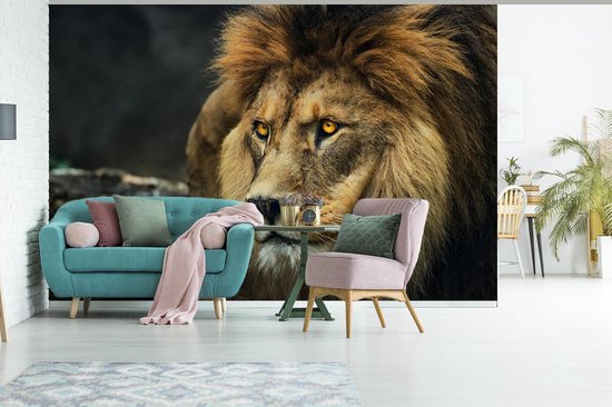 Papier peint - Papier peint photo Lion - Portrait - Sauvage - Largeur 420 cm x hauteur 280 cm