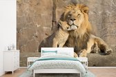Papier peint - Papier peint photo Lions - Pierres - Portrait - Largeur 330 cm x hauteur 220 cm