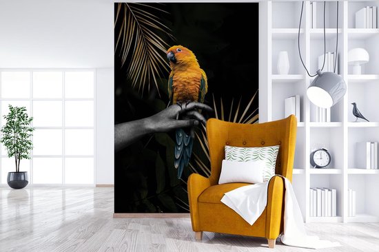 Fond d' écran - Papier peint photo - multicolore oiseau sur une main et fond noir - Largeur 195 cm x hauteur 300 cm