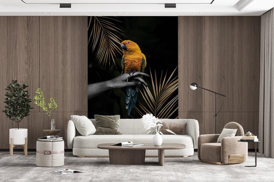 Fond d' écran - Papier peint photo - multicolore oiseau sur une main et fond noir - Largeur 195 cm x hauteur 300 cm