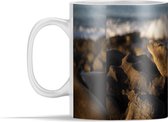 Mok - Zeeleeuwen - Rotsen - Kust - 350 ml - Beker