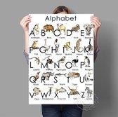 ABC Alfabet Dieren Print Poster Wall Art Kunst Canvas Printing Op Papier Met Waterproof Inkt 13x18cm Multi-color