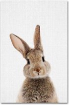 Schattige Dieren Kind Print Poster Wall Art Kunst Canvas Printing Op Papier Living Decoratie  A