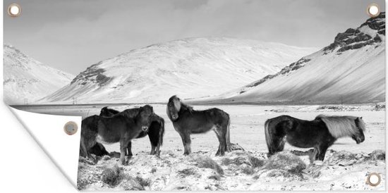 Tuinposter Besneeuwde bergen met IJslander paarden - zwart wit - 80x40 cm - Wanddecoratie Buiten - Tuinposter - Tuindoek - Schuttingposter - Tuinschilderij