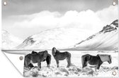 Tuinposter - Tuindoek - Tuinposters buiten - IJslander paarden aan de voet van een besneeuwde berg - zwart wit - 120x80 cm - Tuin