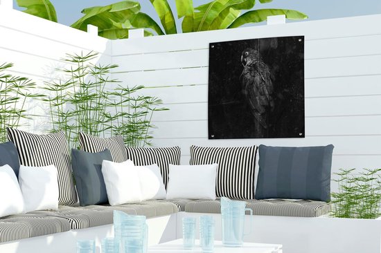 Posters de jardin Perroquet doré sur fond noir plein de texture - noir et blanc - 50x50 cm - Toile jardin - Affiche extérieure.