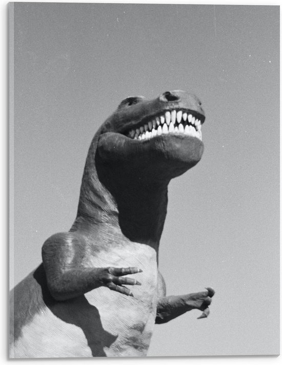Acrylglas - Zwart - Wit Foto van Dino - 30x40cm Foto op Acrylglas (Met Ophangsysteem)