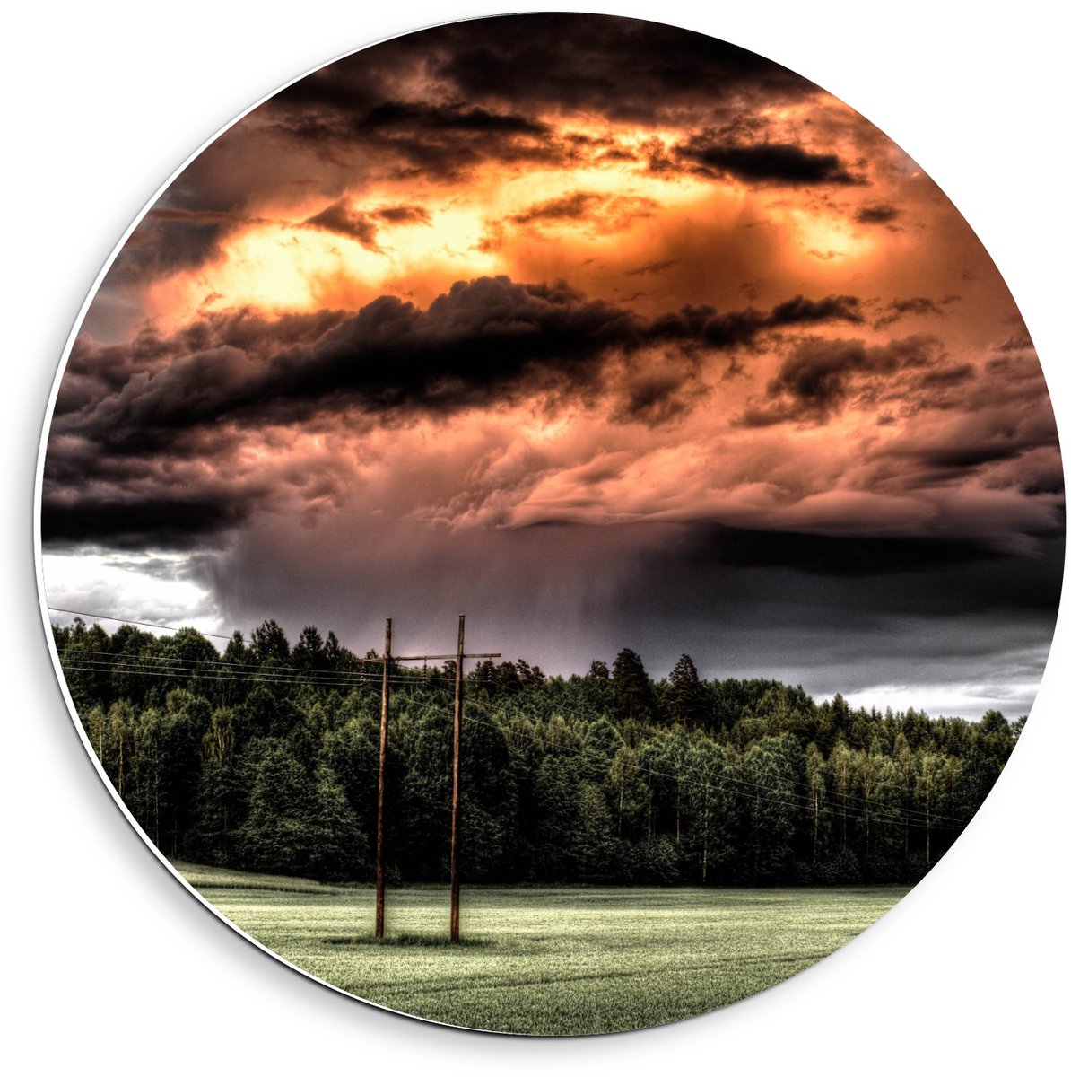 KuijsFotoprint Forex Wandcirkel - Veld met Oranje Lucht - 40x40cm Foto op Wandcirkel (met ophangsysteem) Groen