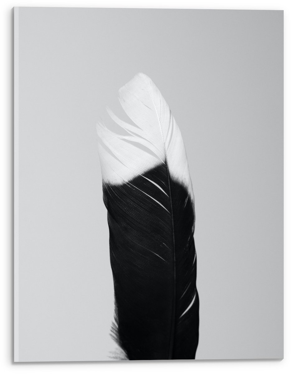 KuijsFotoprint Acrylglas - Zwart/wit Veer - 30x40cm Foto op Acrylglas (Met Ophangsysteem)