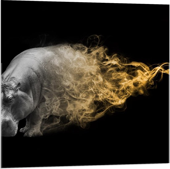 Acrylglas - Zwart Wit Foto met Gouden Rook bij Nijlpaard - 80x80cm Foto op Acrylglas (Met Ophangsysteem)