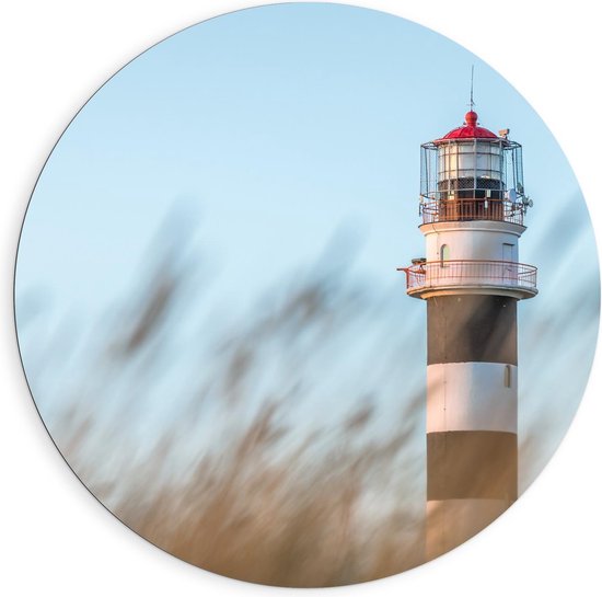 Dibond Wandcirkel - Vuurtoren tussen de Planten - Foto op Aluminium Wandcirkel (met ophangsysteem)