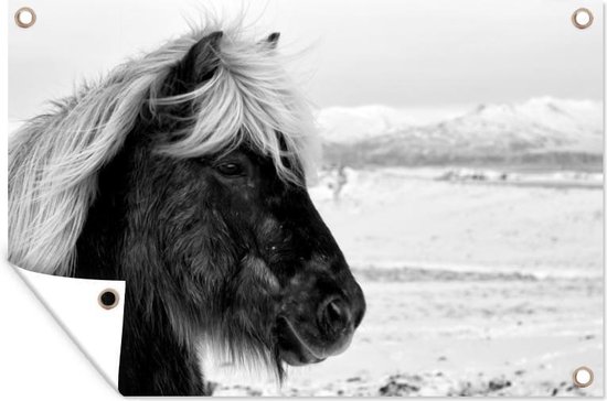 Muurdecoratie Paard - Sneeuw - IJsland - 180x120 cm - Tuinposter - Tuindoek - Buitenposter