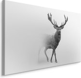 Schilderij - Hert in zwart-wit, Premium print, scherp geprijsd