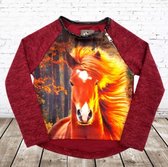 Rood truitje met paard