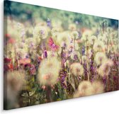 Schilderij -  Weide bloemen  , Wanddecoratie , Premium print