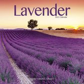 Lavender - Lavendel 2022