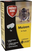 Protect Home Express Lokdoos tegen muizen Enkel voerdoosje