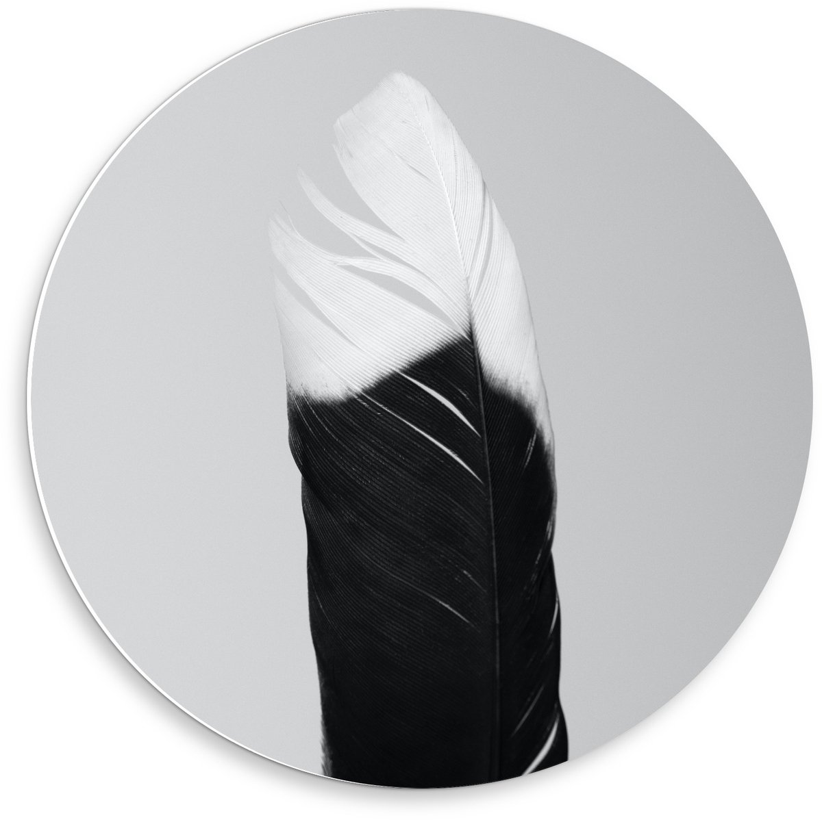 KuijsFotoprint Forex Wandcirkel - Zwart/wit Veer - 50x50cm Foto op Wandcirkel (met ophangsysteem)