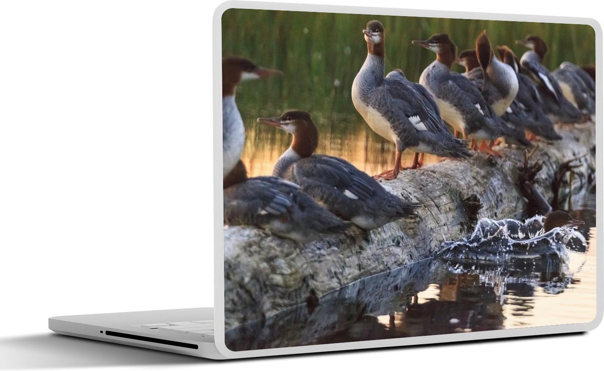 Afbeelding van product SleevesAndCases  Laptop sticker - 15.6 inch - Een groep van grote zaagbekken op een grote boomstam tijdens de zonsondergang