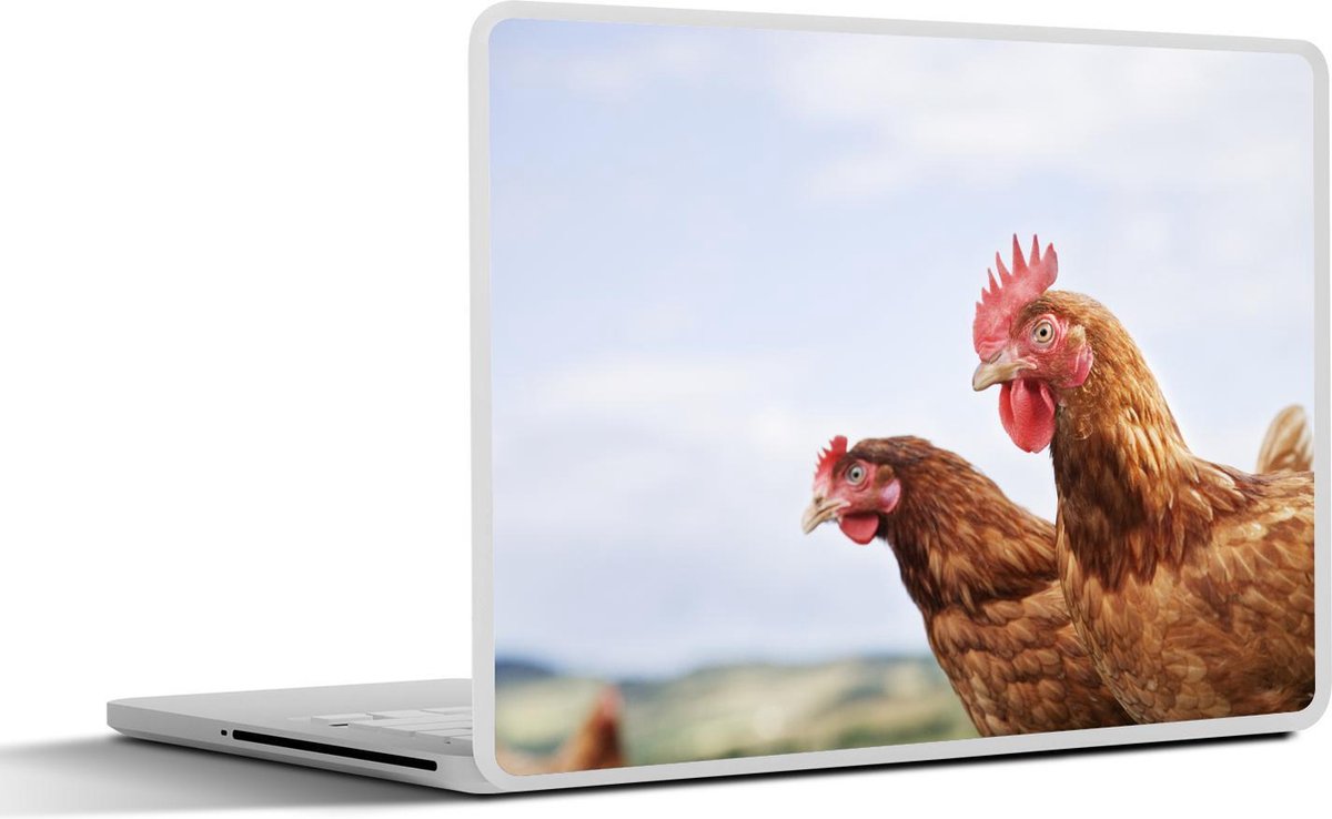 Laptop sticker - 14 inch - Close-up van twee kippen - 32x5x23x5cm - Laptopstickers - Laptop skin - Cover