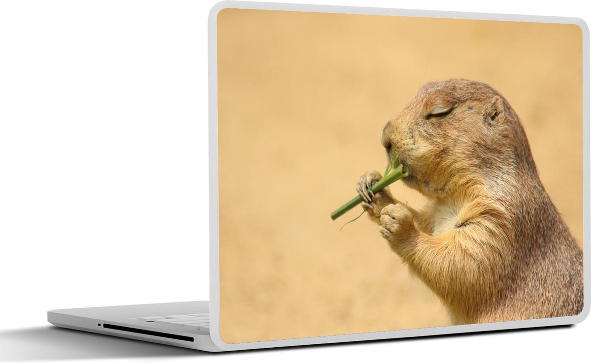 Laptop sticker - 15.6 inch - Een Prairiehond eet een stukje groen gras