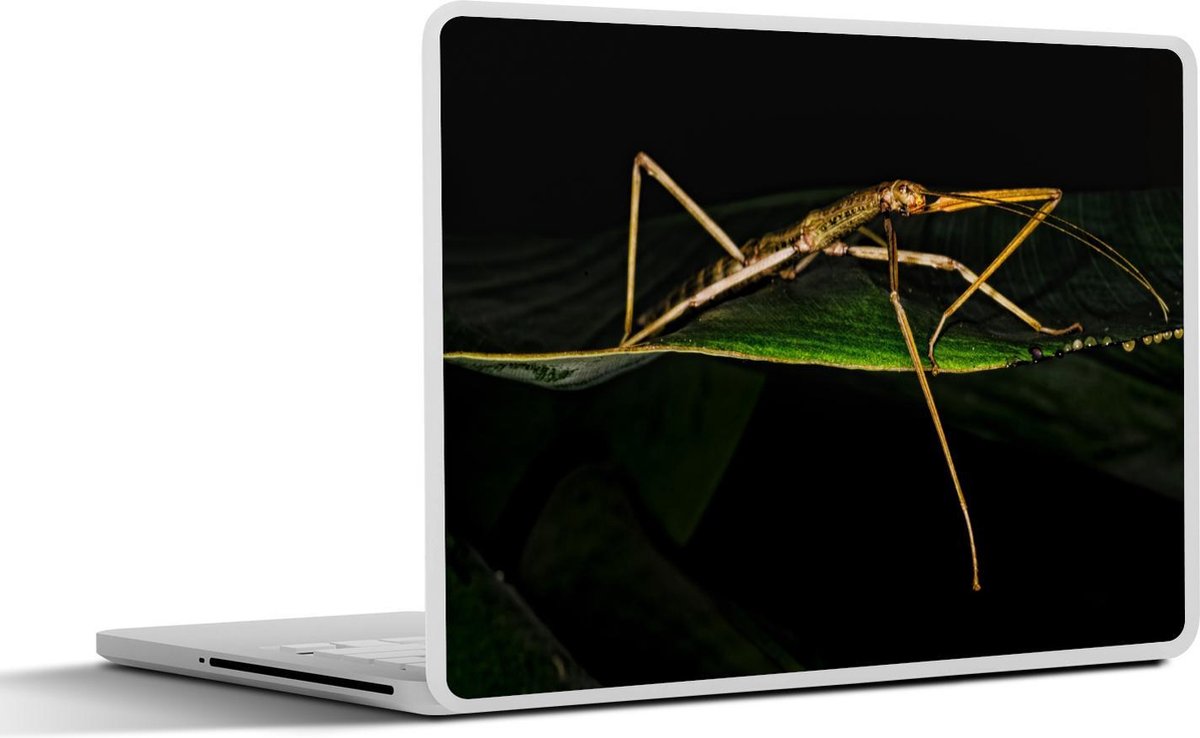 Afbeelding van product SleevesAndCases  Laptop sticker - 10.1 inch - Een wandelende tak zwarte achtergrond