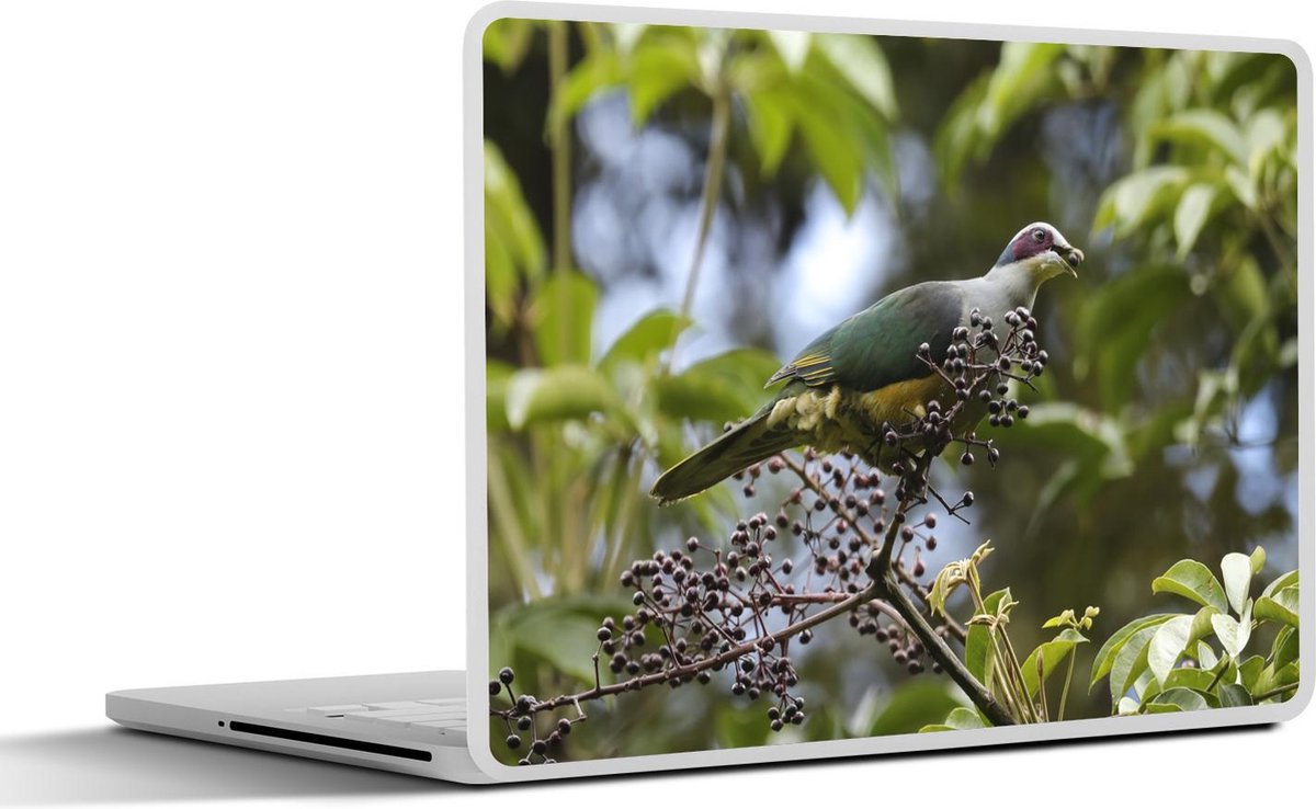 Afbeelding van product SleevesAndCases  Laptop sticker - 14 inch - Duif in de bossen van het Nationaal park Lore Lindu in Indonesië